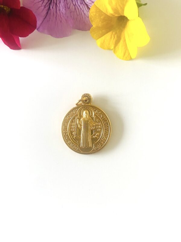 Benedikt Medaille 19mm – Bild 4